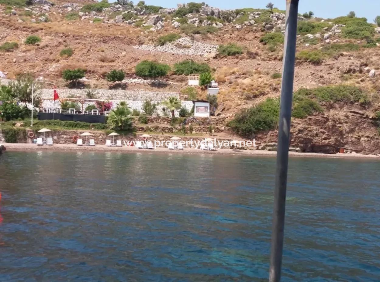 Benutzerdefinierte Dorf Am Meer Zu Verkaufen Villa Zum Verkauf In Osmanabad