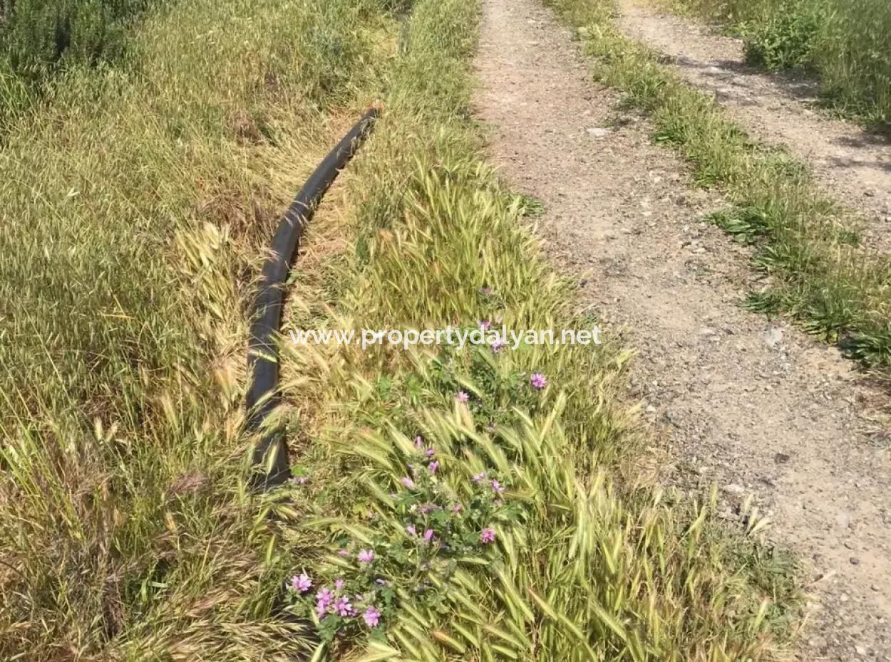 Ackerland Zum Verkauf In Seydikemer Korubuku 76000M2