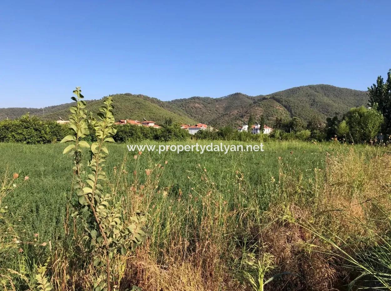 Land Zum Verkauf Im Zentrum 891M2 Land Zu Verkaufen