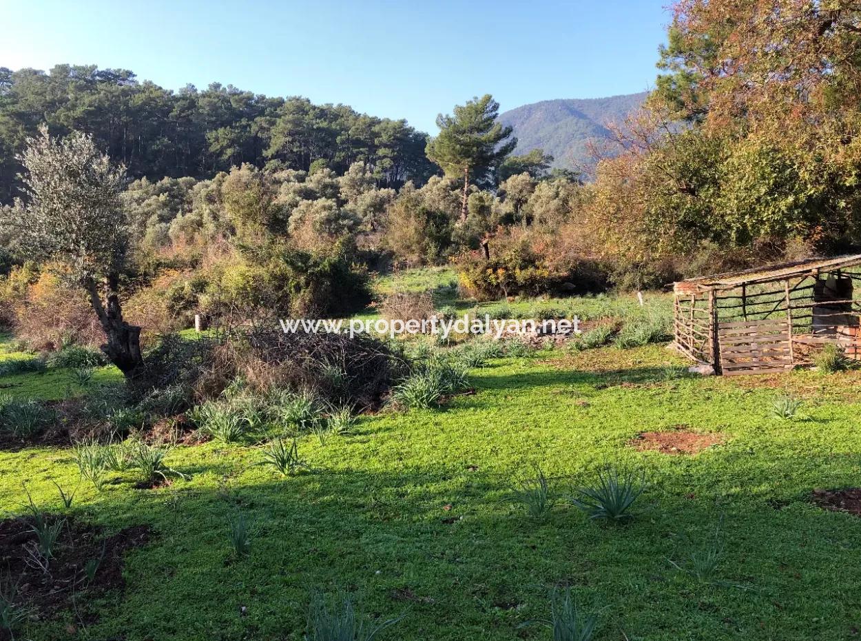 Ekincik Land Zu Verkaufen 10.038M2 Land Zum Verkauf Feld