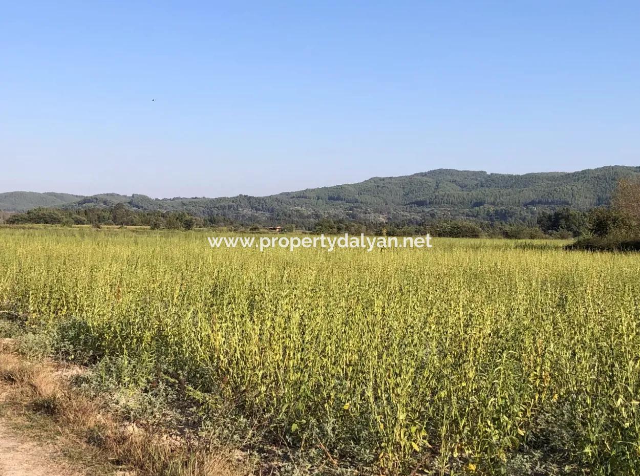 Field Zu Verkaufen In Ak'apinar 100 Acres Zu Verkaufen