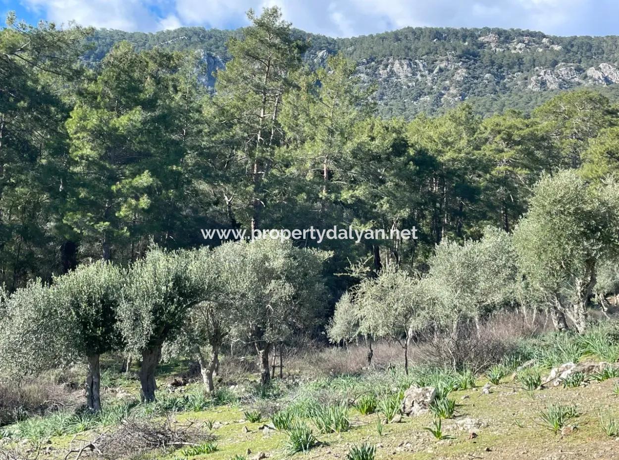 4000M2 Feld Zum Verkauf Mit Seeblick In Çandir