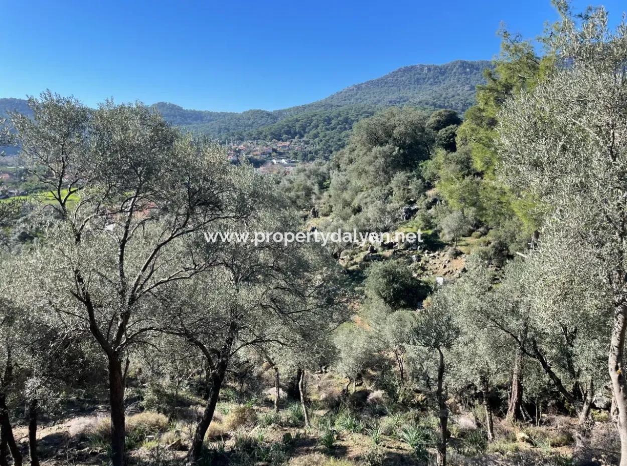 950M2 2B Feld Zum Verkauf Mit Meer- Und Seeblick In Çandır