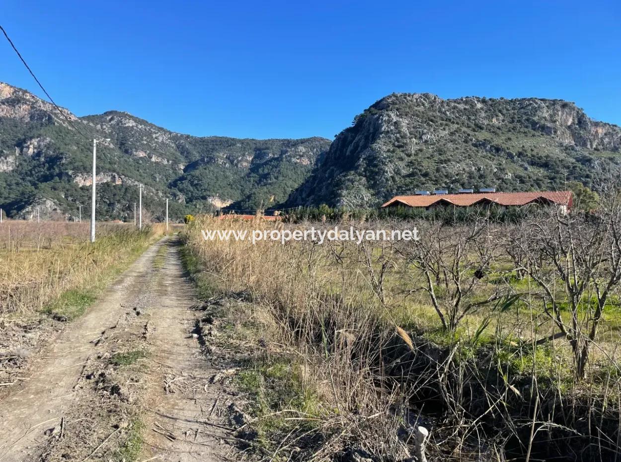 Dalyan Iztuzu Road Zero 5216M2 Feldgrundstück Zum Verkauf