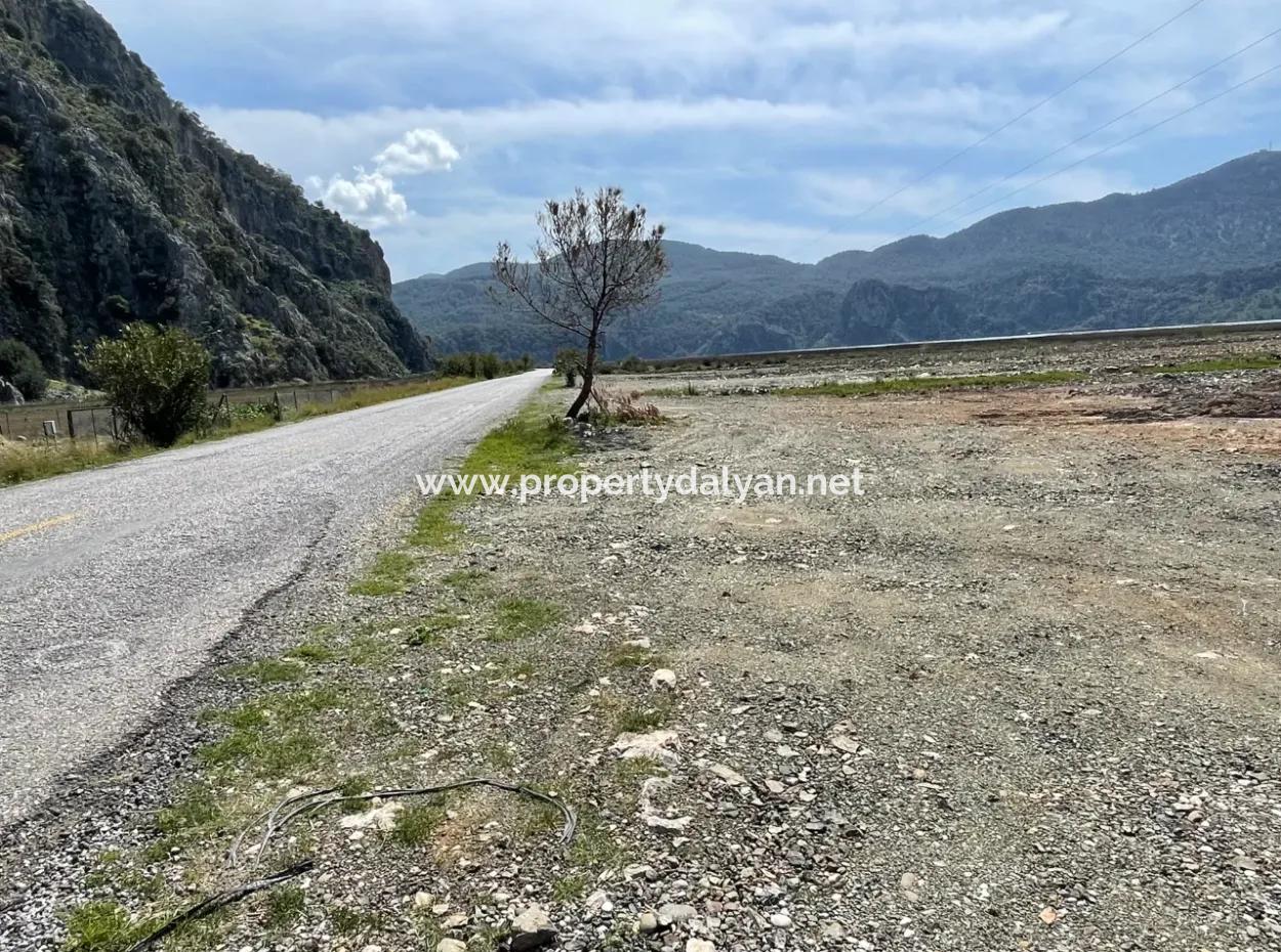 Dalyan Iztuzu Strand Straße Null 19.600M2 Feld Land Zum Verkauf