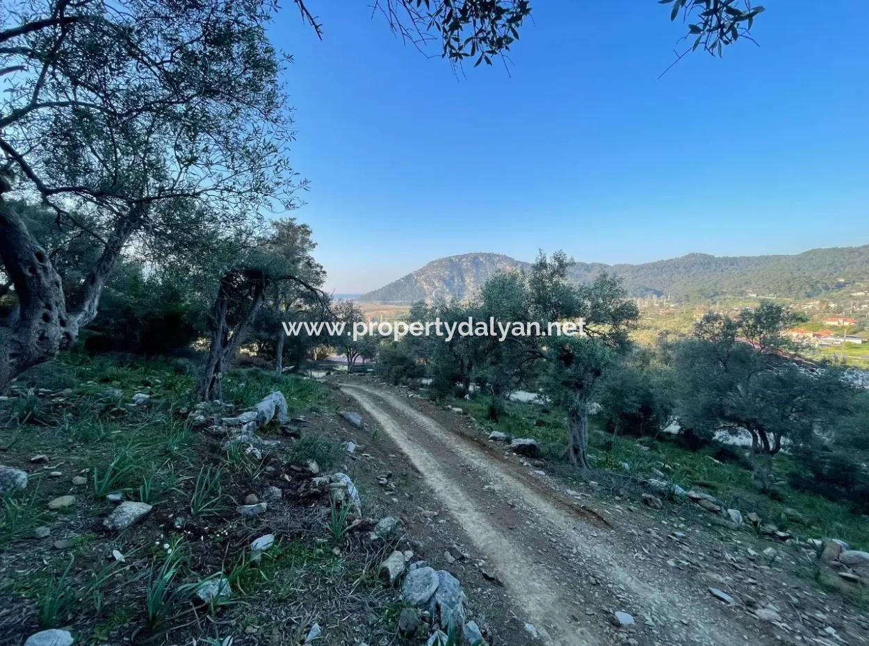 Çandır See Meerblick 2.806M2 2B Feld Zum Verkauf