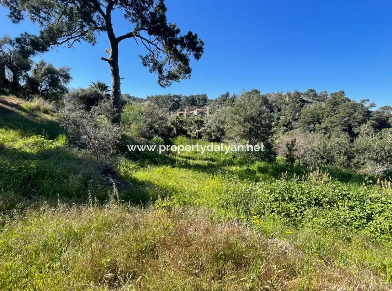 Dorfhaus Zum Verkauf Auf 4.400M2 Grundstück Mit Vollem Meerblick In Gökbel