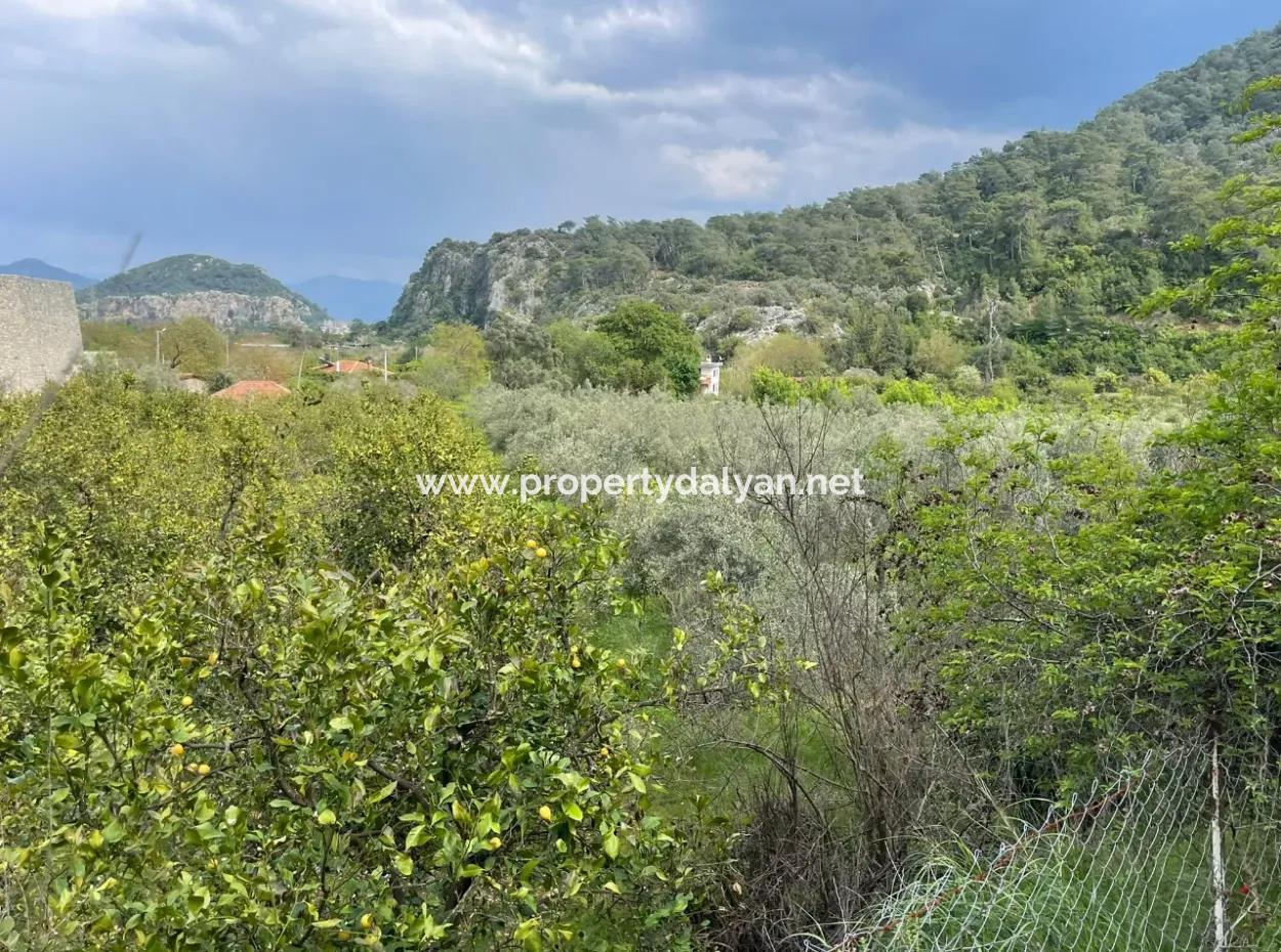 5000M2 Feld Zum Verkauf Am Anfang Der Straße In Çandır