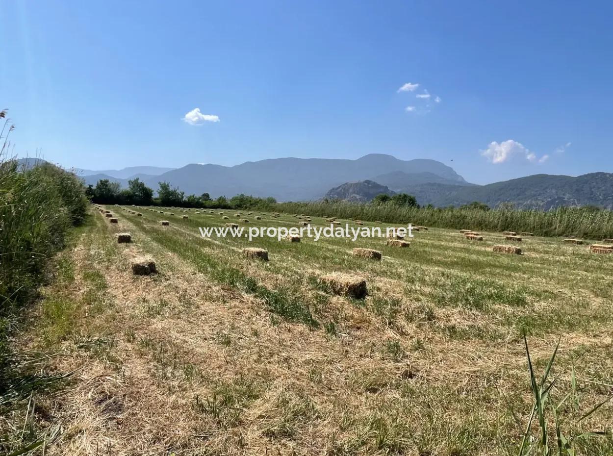 6.500 M2 Feld Zum Verkauf An Der Iztuzu-Straße In Dalyan