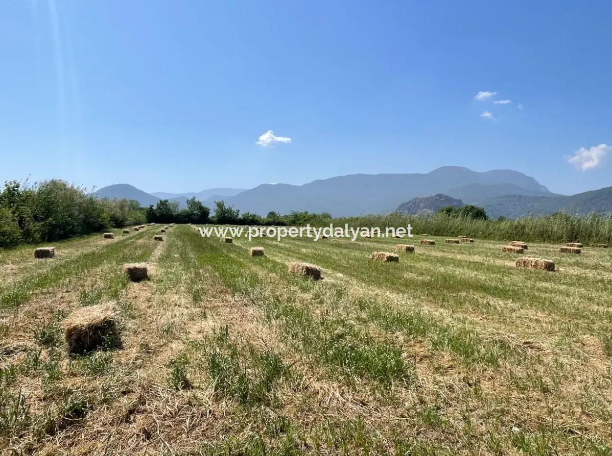 6.500 M2 Feld Zum Verkauf An Der Iztuzu-Straße In Dalyan