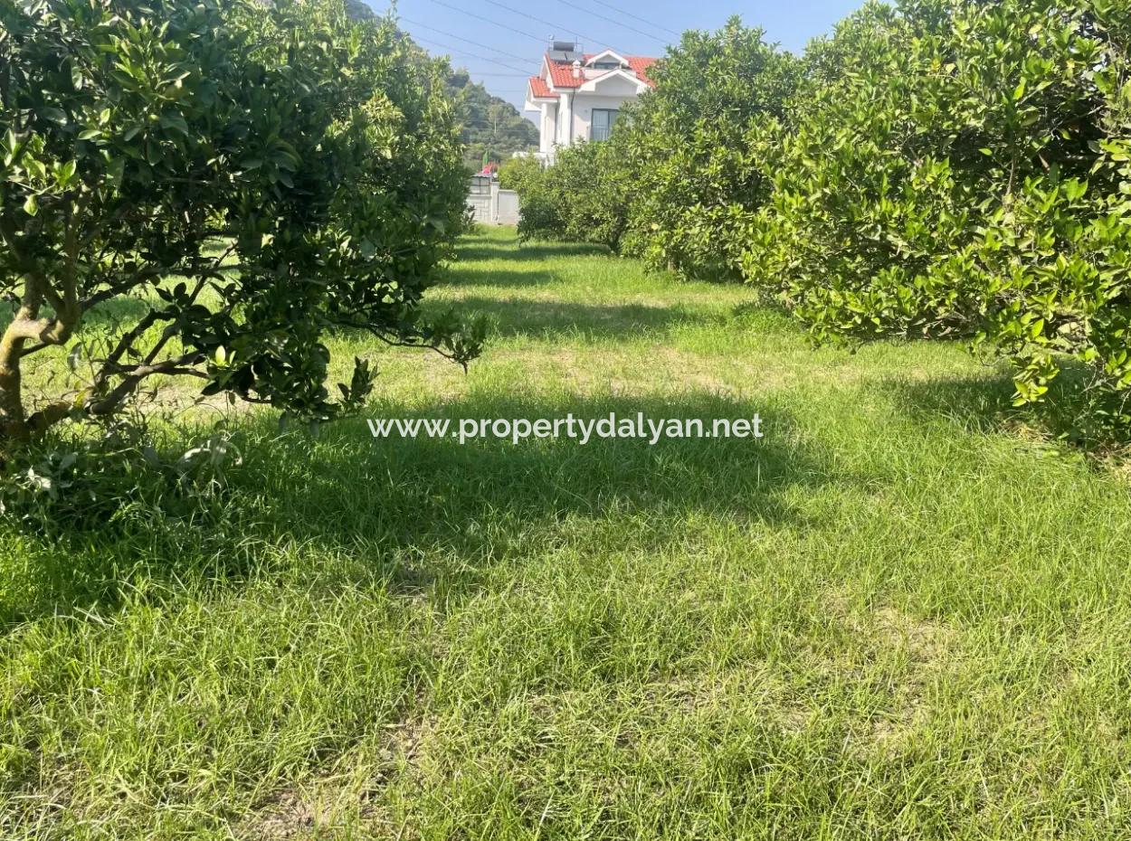 Grundstück Zum Verkauf In Gulpinar, Dalyan 722M2