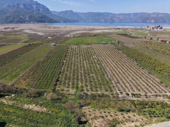 16.710 M² Granatapfelgarten Zum Verkauf Mit Seeblick In Eskiköy