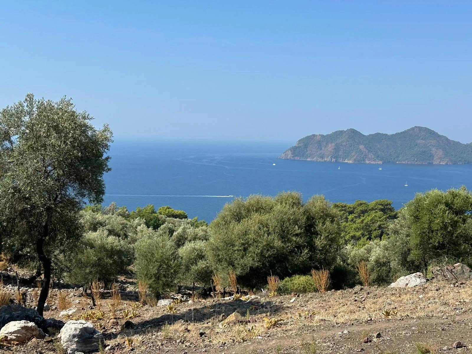 Field with sea view, 21.000 m2, 2b, for sale In Çandır