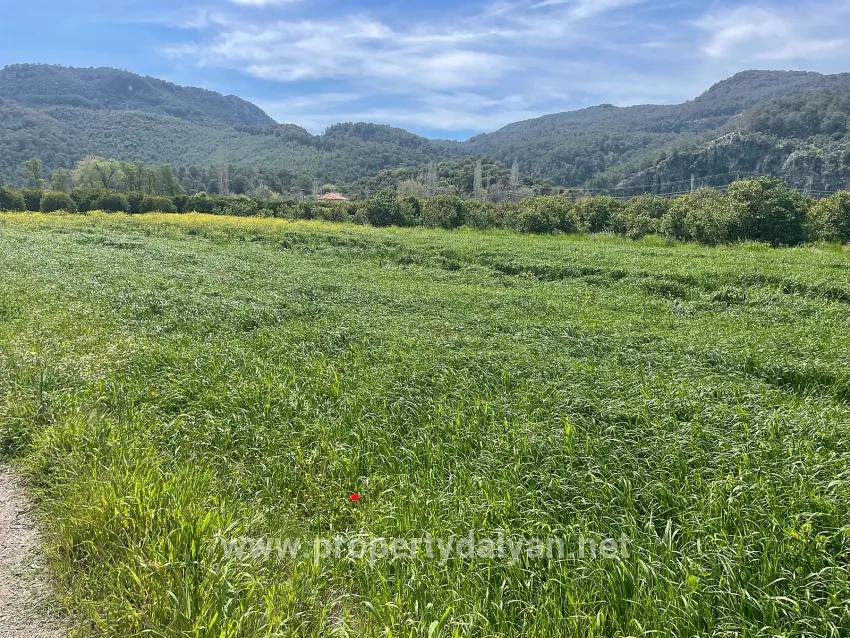 Archers' In Okçular'da 736m2 Olan 250m2 Construction Licensed For Sale Plot