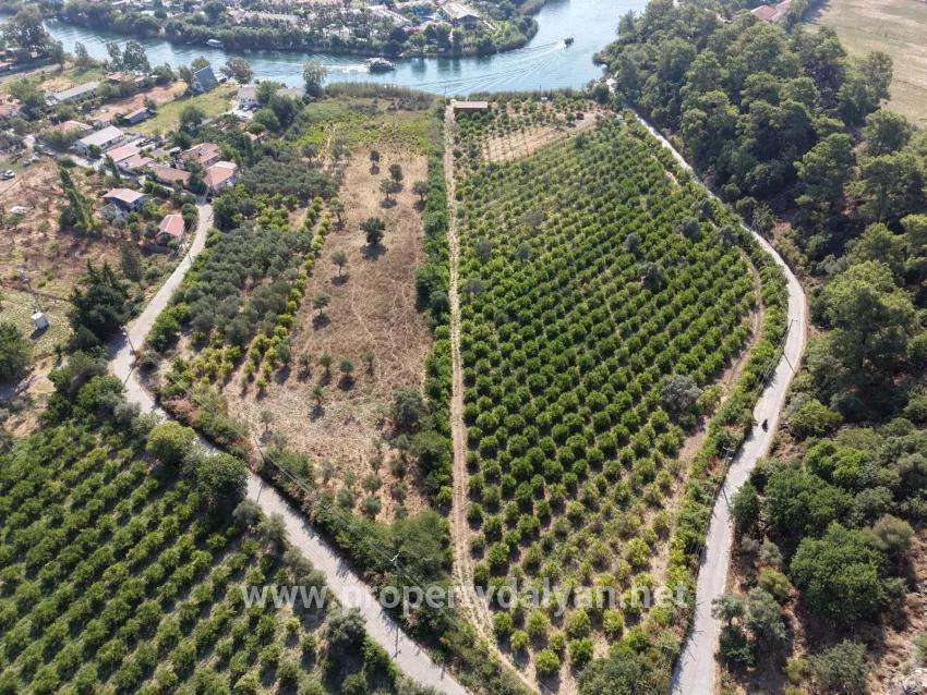 Village of Köyceğiz Çandır Neighbourhood with zero channel 20,000m2 for sale land