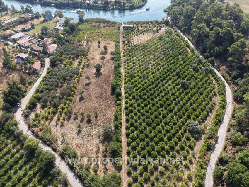 Village of Köyceğiz Çandır Neighbourhood with zero channel 20,000m2 for sale land