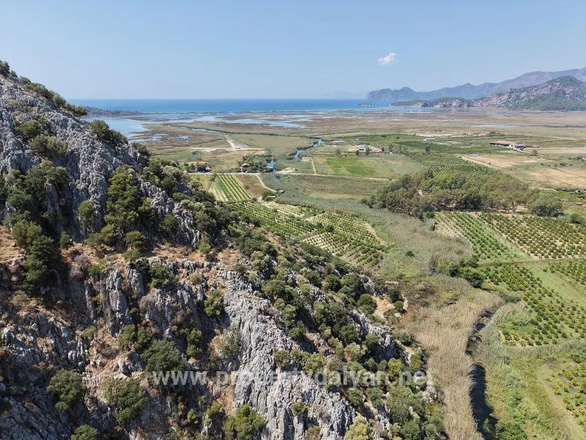 Field For sale in Dalyan Nbh. Ortaca - Field Zoned - 20.786 m²