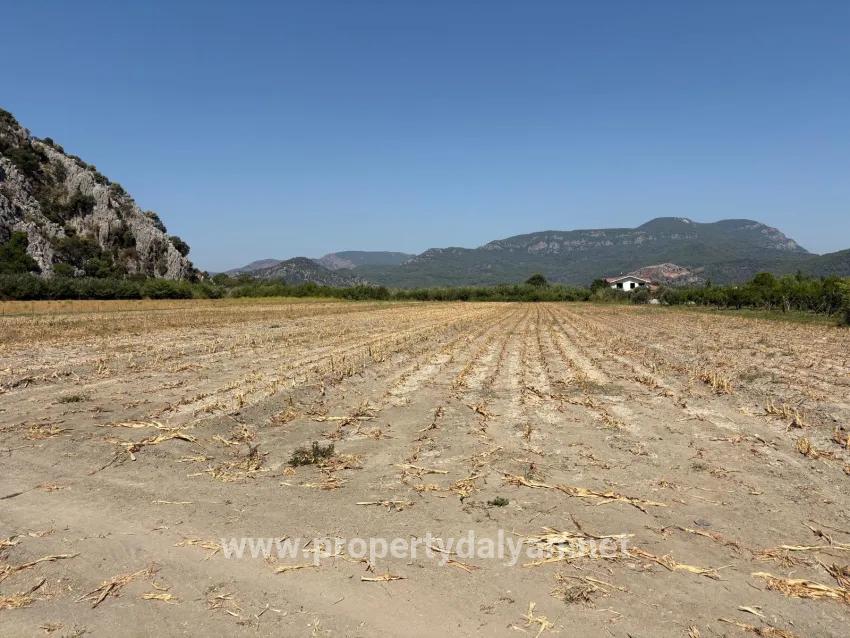 Field For sale in Dalyan Nbh. Ortaca - Field Zoned - 20.786 m²