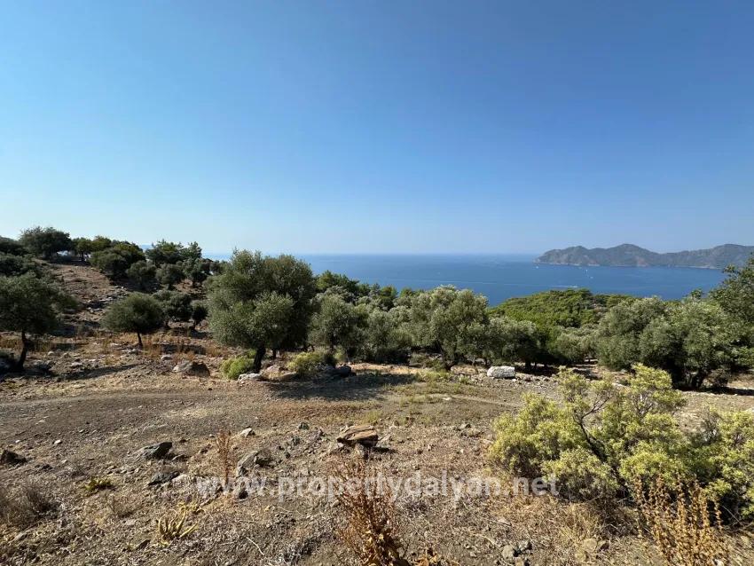 Field For sale in Çandır Nbh. Köyceğiz - Field Zoned - 21.000 m²