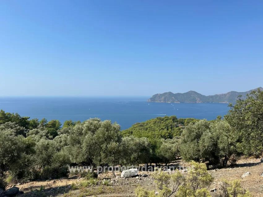 Field For sale in Çandır Nbh. Köyceğiz - Field Zoned - 21.000 m²