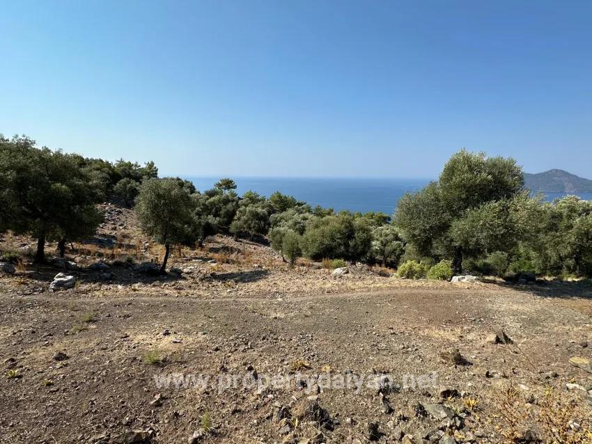 Field For sale in Çandır Nbh. Köyceğiz - Field Zoned - 21.000 m²