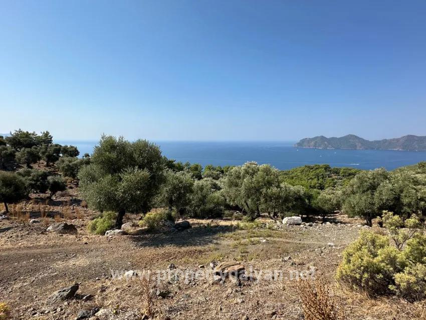 Field For sale in Çandır Nbh. Köyceğiz - Field Zoned - 21.000 m²