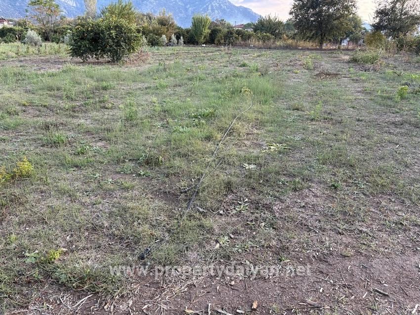 7,450 M² Plot Of Land For Sale In Dalyan With 5% Zoning.