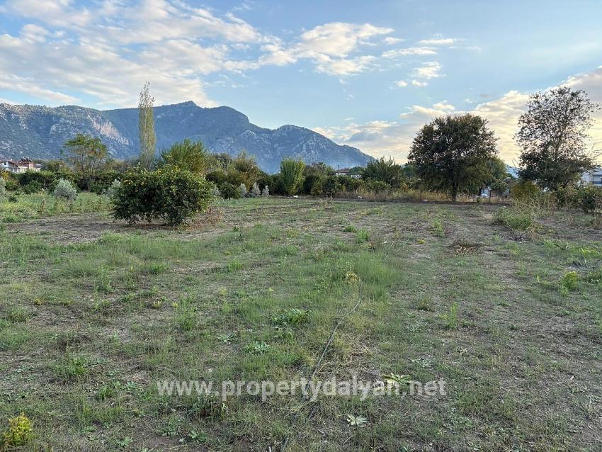 7,450 M² Plot Of Land For Sale In Dalyan With 5% Zoning.