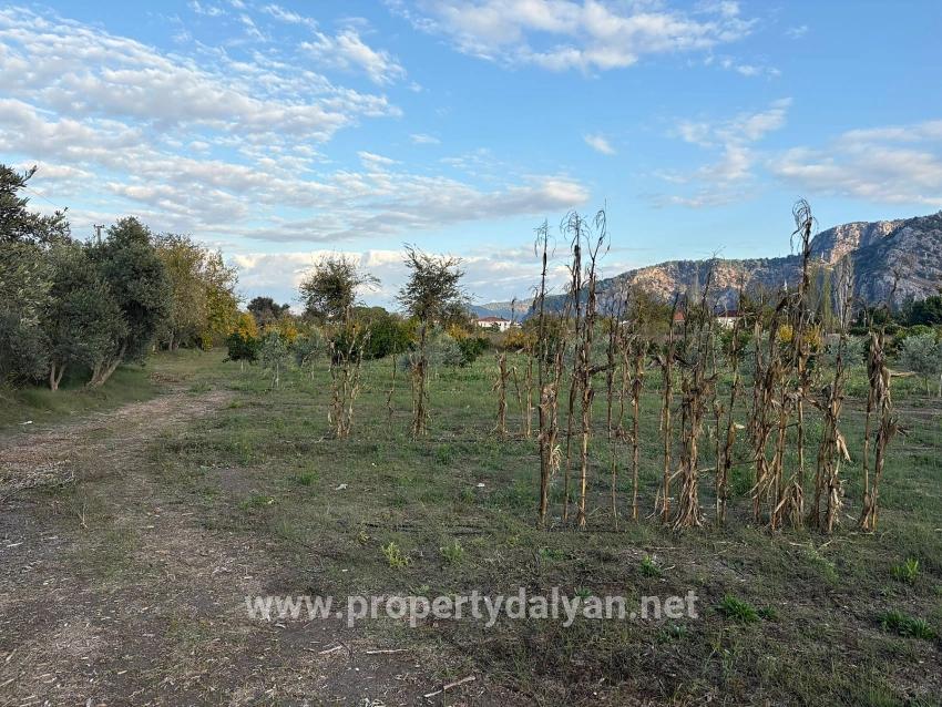 7,450 M² Plot Of Land For Sale In Dalyan With 5% Zoning.