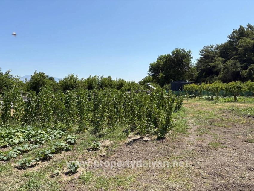 120m2 Detached Wooden House On A 2500m2 Field In Dalyan Karadağ Area