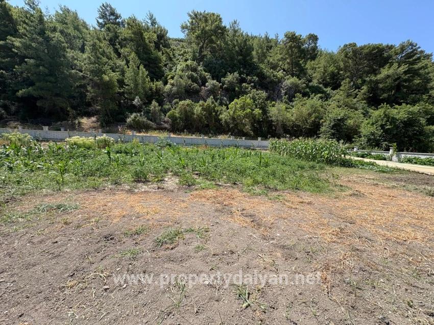120m2 Detached Wooden House On A 2500m2 Field In Dalyan Karadağ Area