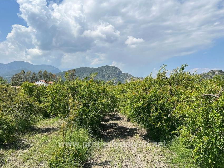 5,100 M² Plot Of Land For Sale In Dalyan, Maraş Area, Zoned For 5% Residential Use.