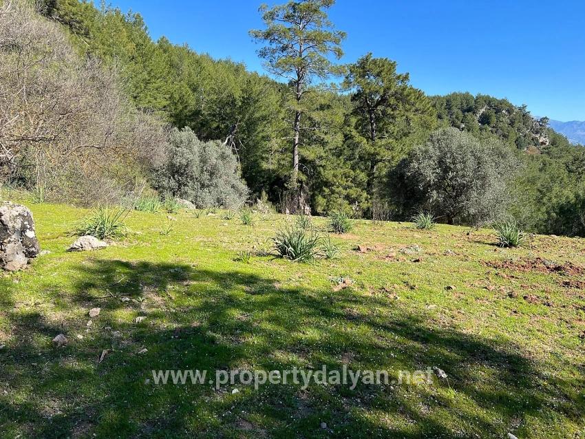 Land For Sale In Gökbel, Surrounded By Nature And Forest.