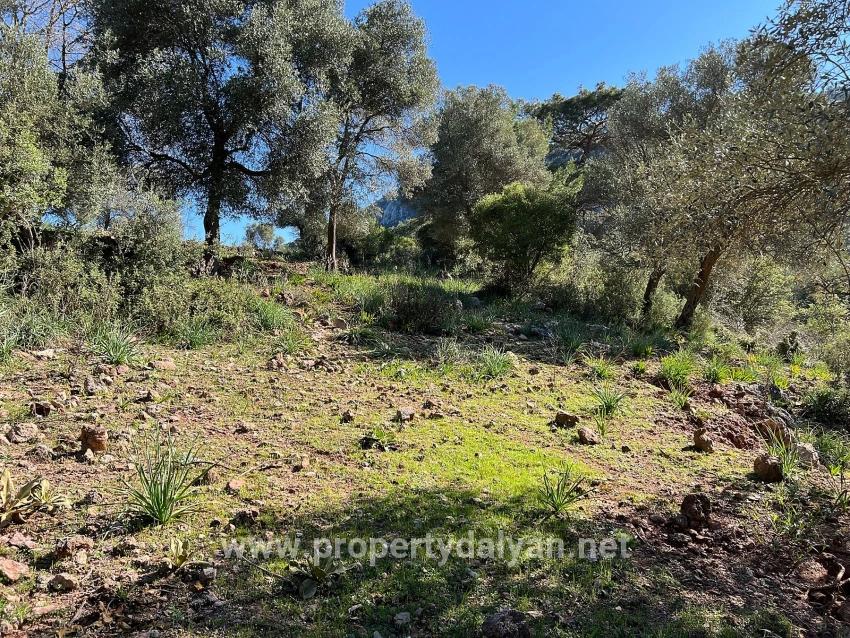 Land For Sale In Gökbel, Surrounded By Nature And Forest.