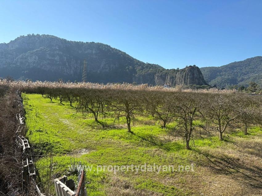 5985m2 Plot Of Land For Sale In Dalyan, Zoned For 5% Vineyard/orchard Use.