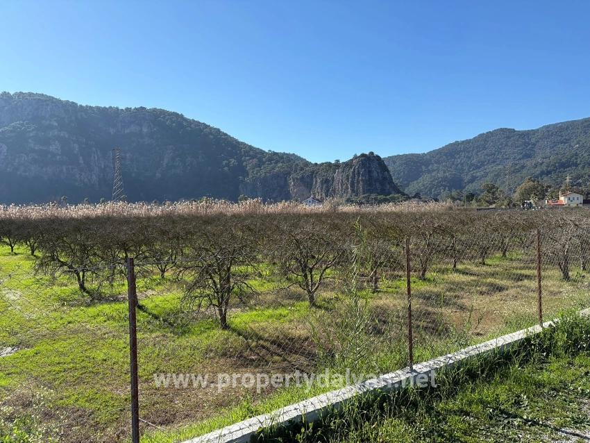 5985m2 Plot Of Land For Sale In Dalyan, Zoned For 5% Vineyard/orchard Use.