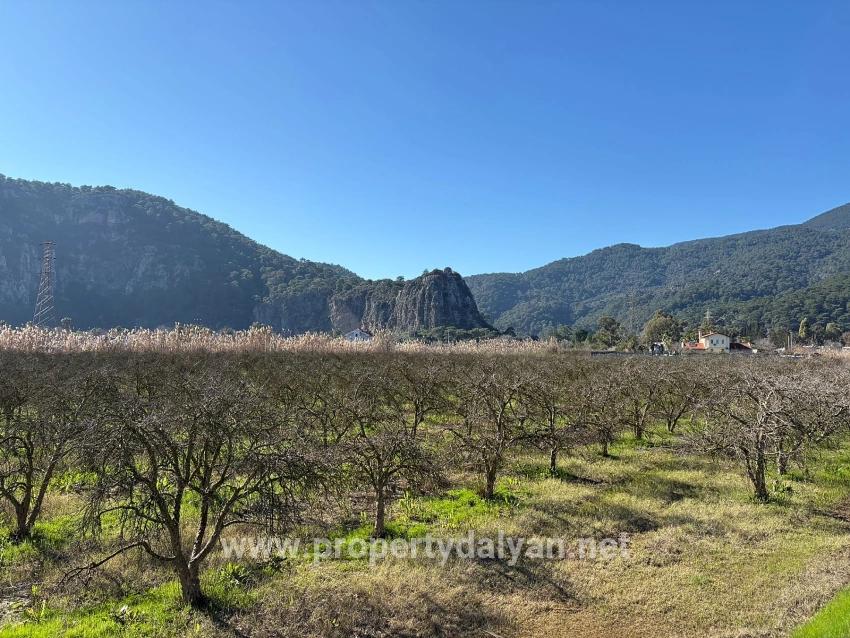 5985m2 Plot Of Land For Sale In Dalyan, Zoned For 5% Vineyard/orchard Use.