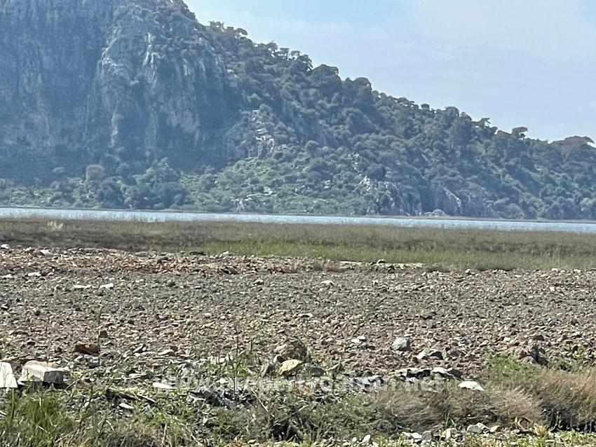 19,600 M² Plot Of Land For Sale, Located Directly On The Road To Dalyan Iztuzu Beach.