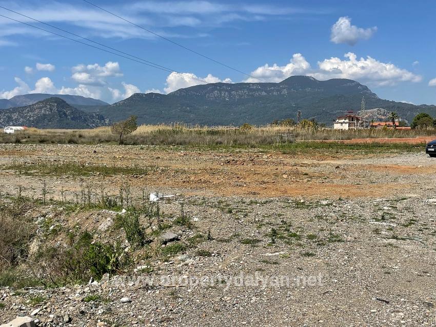 19,600 M² Plot Of Land For Sale, Located Directly On The Road To Dalyan Iztuzu Beach.