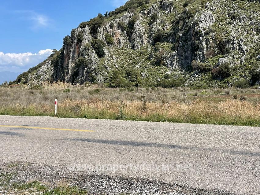 19,600 M² Plot Of Land For Sale, Located Directly On The Road To Dalyan Iztuzu Beach.
