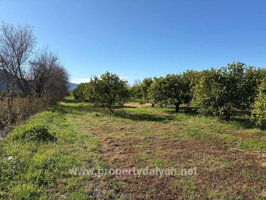 Field For sale in Dalyan Nbh. Ortaca - Field Zoned - 16.500 m²