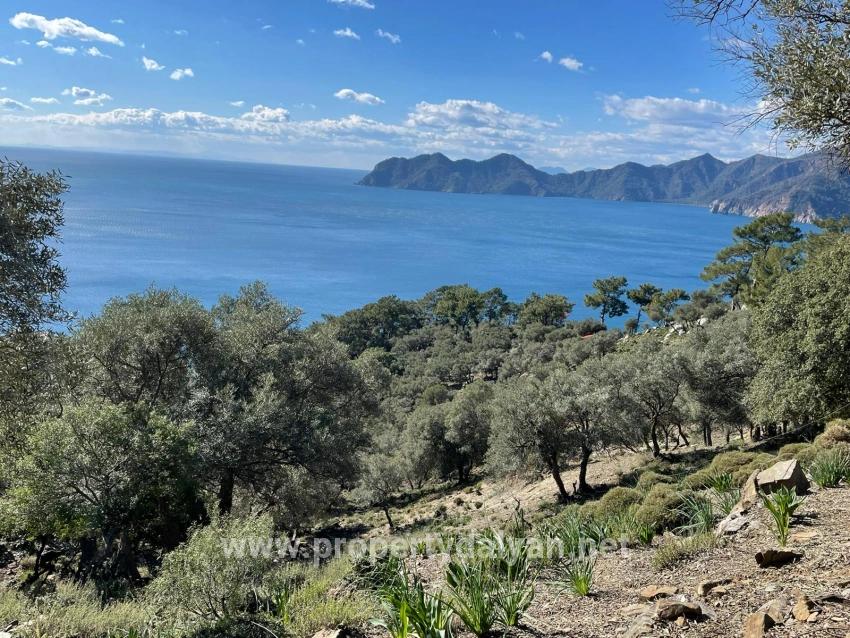 Çandır 20.000m2 2b For Sale With Full Sea View