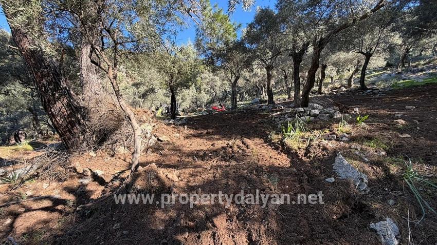 2b Field Of 5715m2 For Sale With Full Sea View In Çandır