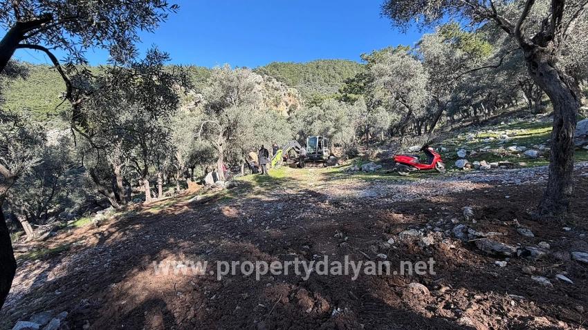 2b Field Of 5715m2 For Sale With Full Sea View In Çandır