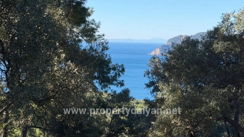 2b Field Of 5715m2 For Sale With Full Sea View In Çandır