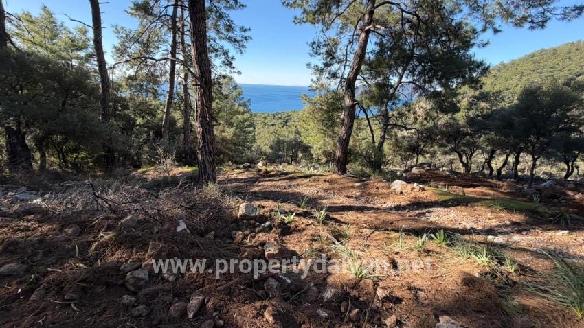 Field For sale in Çandır Nbh. Köyceğiz - Housing Zoned - 5.715 m²
