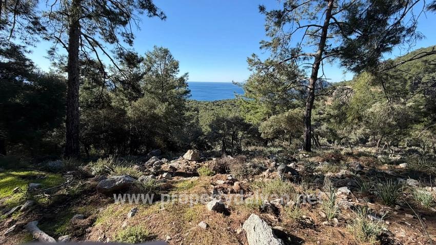 2b Field Of 5715m2 For Sale With Full Sea View In Çandır