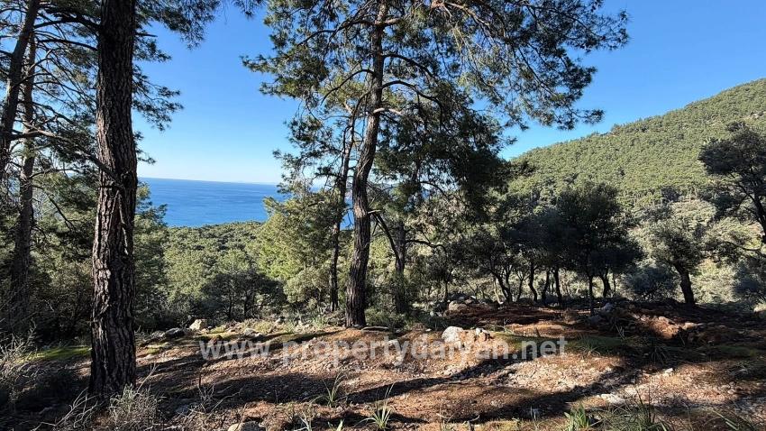2b Field Of 5715m2 For Sale With Full Sea View In Çandır