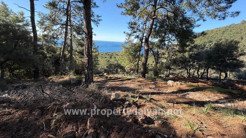 2b Field Of 5715m2 For Sale With Full Sea View In Çandır