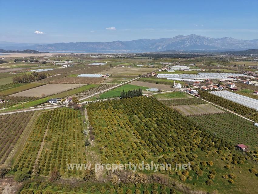 17.550m2 Vineyard-bahce For Sale Close To Dalyan Center